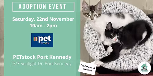 Cat & Kitten Adoption Day at PETstock Port Kennedy | 22nd November