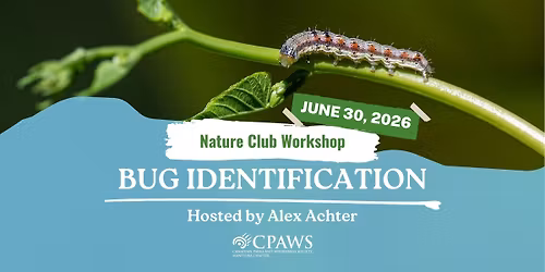 Workshop: Bug Identification