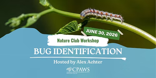 Workshop: Bug Identification