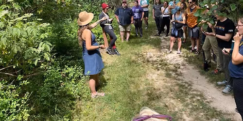 Foraging & Wild Tending Class