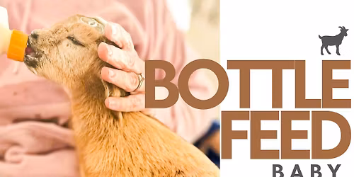 Feed and Cuddle Baby Goats