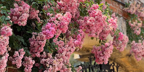 Bowood Garden Tours