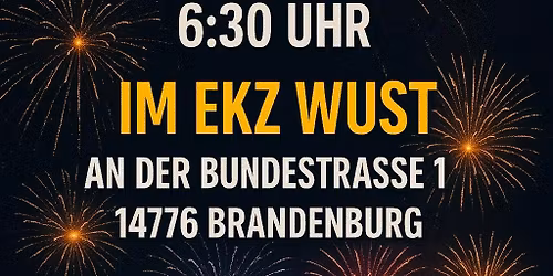 Profi Silvester Feuerwerk direkt vom Pyrotechniker