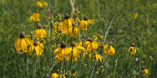Special Environmental Features Tour
