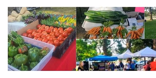 Mentor Farmers Market 
