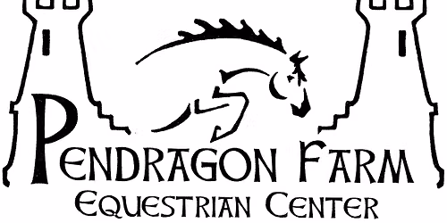 Pendragon Schooling Jumper Show