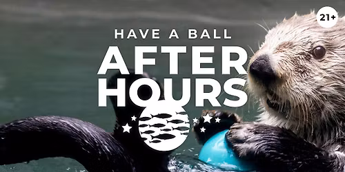 After Hours: Have a Ball