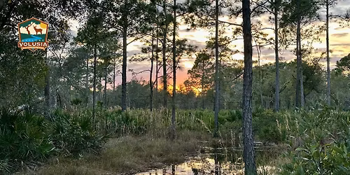 Understanding Invasives Hike