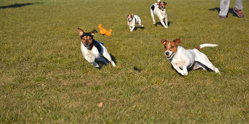 Socializa\u010dn\u00e1 prech\u00e1dzka Lazany