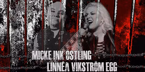 \ud83e\udd18\ud83d\udd25 Micke \u00d6stling & Linnea Vikstr\u00f6m Egg \u2013 Alla hj\u00e4rtans dag SPECIAL \u2764\ufe0f\ud83c\udfb8