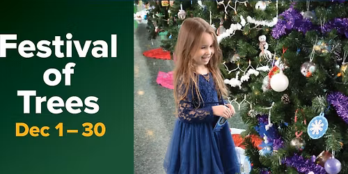 Festival of Trees - Niagara 
