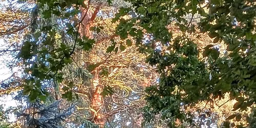 The 3rd Galloping Grind 10k trail run - Easter Egg edition!