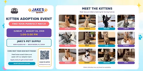 Looking for your new Best Friend? \ud83d\ude3b