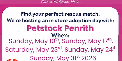 Brighter Future Cat Rescue X Petstock\u2019s National Pet Adoption Month