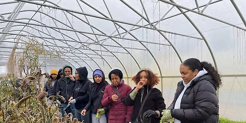 Community Service Hours - College Students Volunteer Op @ Asawana Farms