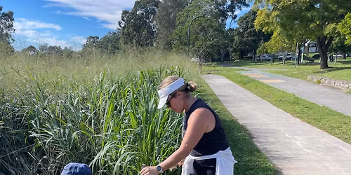 November Working Bee 🐝 