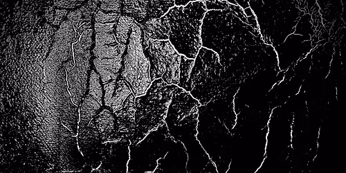 From the Same Soil - exhibition by two Ukrainian artists Sofiia Horbachevska & Veronika Synenka