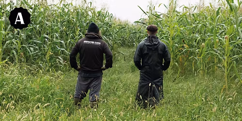 { Complet ~ Betea } The Inspector Cluzo \u2022 Grant Haua ~ Atabal Biarritz