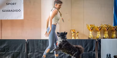 Sierpniowy dogdancing w Czarnowodzie 