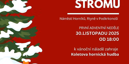 ROZSV\u00cdCEN\u00cd V\u00c1NO\u010cN\u00cdHO STROMU - Rtyn\u011b v Podkrkono\u0161\u00ed