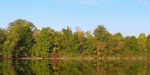 Make Your Own Sock Puppet