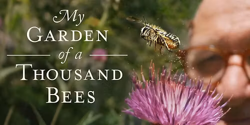 My Garden of a Thousand Bees
