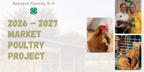 2026 - 2027 Brevard County  4-H  Market Poultry Project