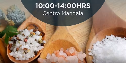 CURSO DE SALES DE SH\u00dcSSLER