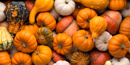 Harvest at Heritage