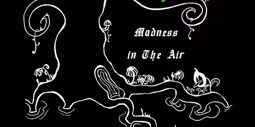 Madness In The Air