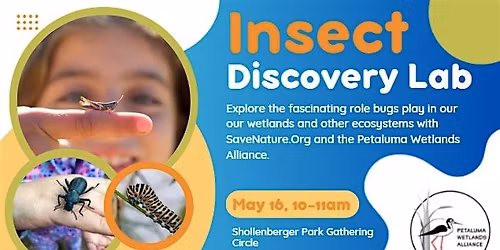 Insect Discovery Lab