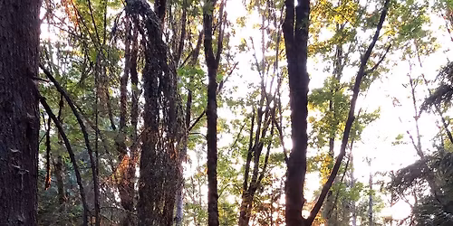 Explore more of Grand Ridge Park!