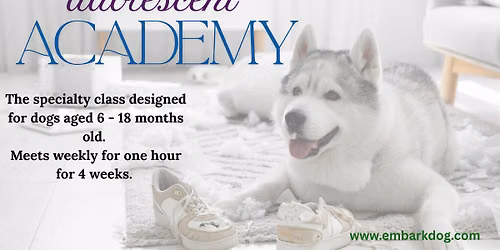 Adolescent Academy