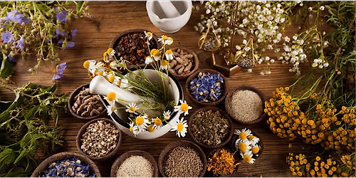 Medicinal Plant Walk