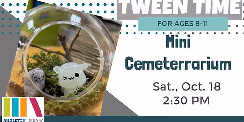 Tween Time: Mini Cemeterrarium