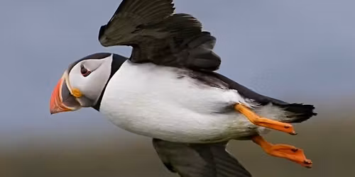 THE LUNDY ISLAND RACE