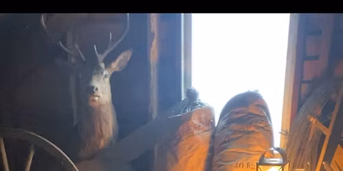 Nissetur til Rosheim! \ud83c\udf85