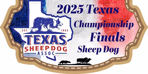 2025 Texas Championship Finals - Sheep Dog