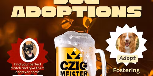 Dog Adoptions at Czig Meister Brewing