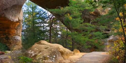 Kentucky Rejuvenation Retreat 