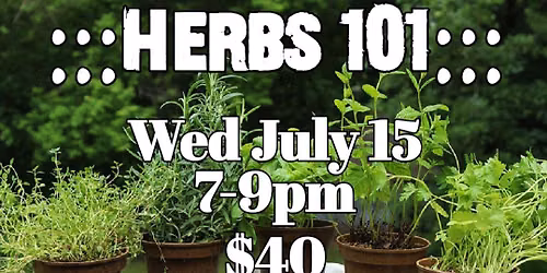 Herbs 101!
