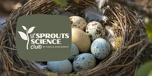 Lil' Sprouts Science Club \u2013 Spring Bird Builders