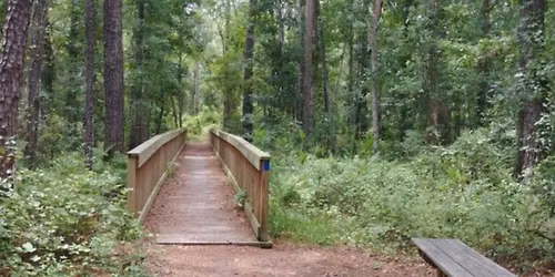 Hike the Trails at The University of North Florida