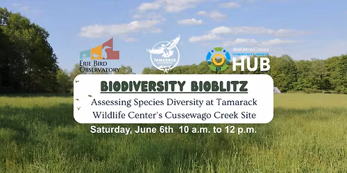 Biodiversity Bioblitz