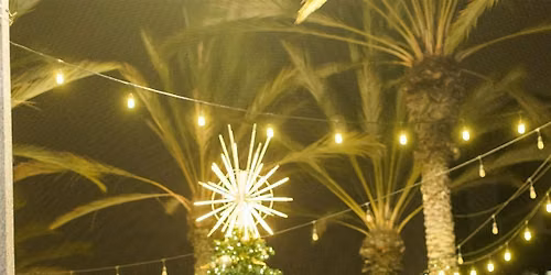 Holiday Tree Lighting