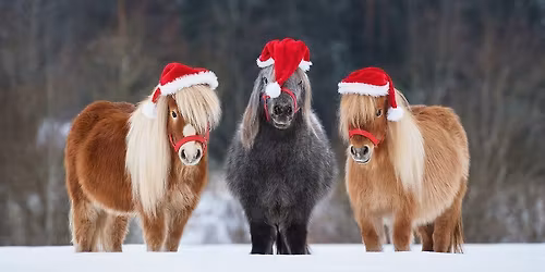 Mini Christmas Showjumping