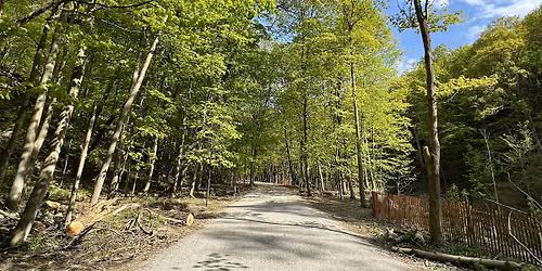 Brickworks, Beltline and Beyond