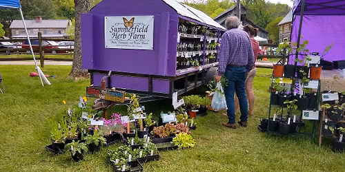 Summerfield Herb Farm at the 40th Annual Exchange Place Spring Garden Fair, Kingsport, TN