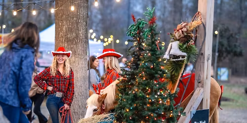 Winter Holiday Market