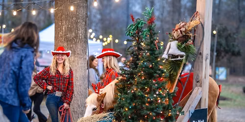 Winter Holiday Market